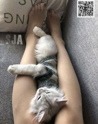朋友的妻子